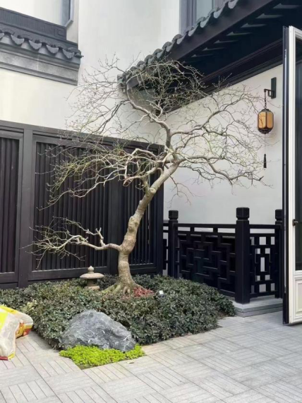 别墅庭院设计施工